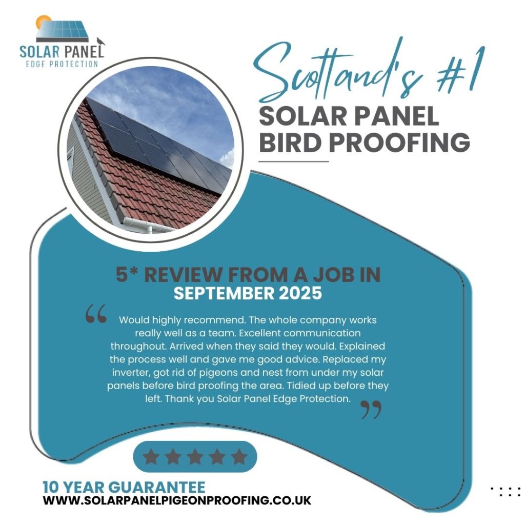 solar-panel-repairs-glasgow-reviews