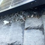 solar-panel-bird-mesh-in-glasgow